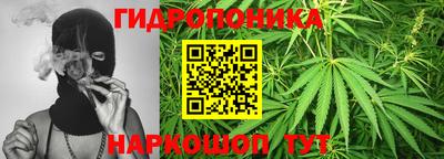 альфа пвп Кандалакша